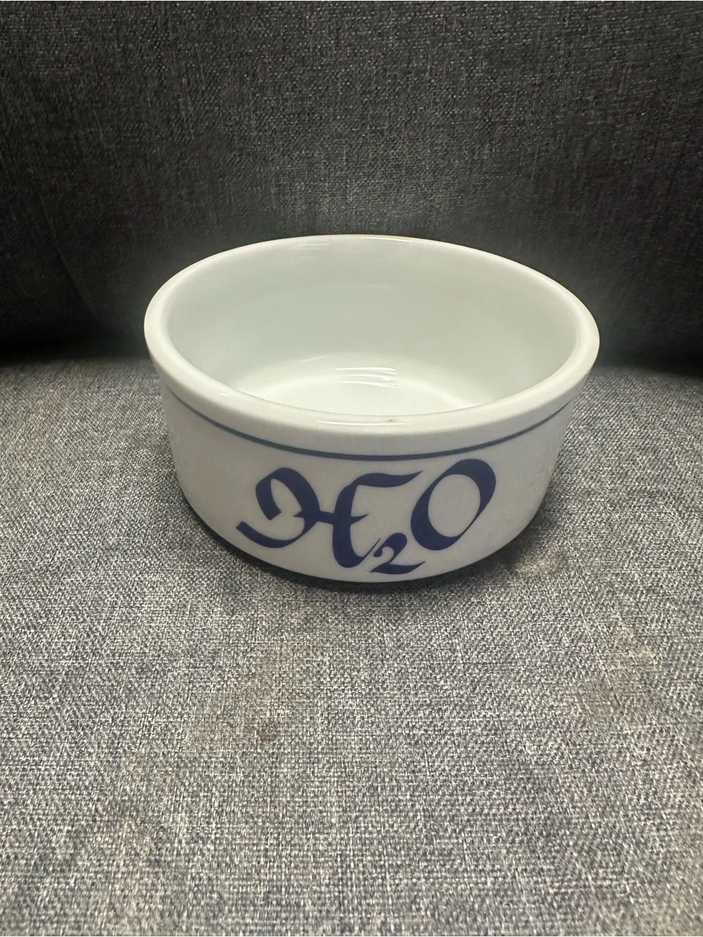 Vintage Ceramic H2O Dog Water Bowl